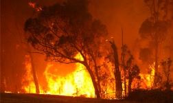  NSW Fires – The Inside Story