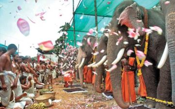  Worship of animals among Indians