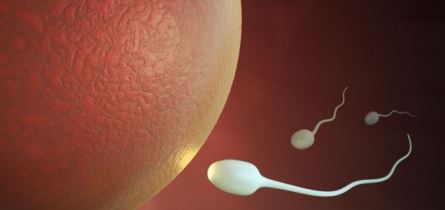  Sperm on Demand: Do We Still Need Men?