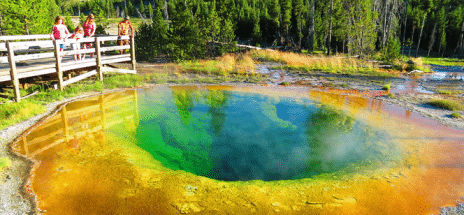  YELLOWSTONE: NO WALK IN THE PARK