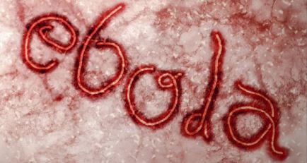  HOW DOES EBOLA GET TRANSMITTED?