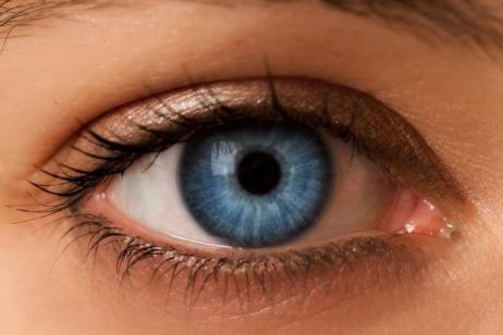  THE BLUE EYED PEOPLE ON THIS PLANET HAVE A COMMON ANCESTOR
