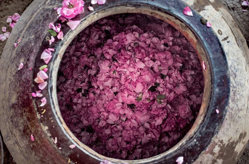  This ancient town is the perfume capital of India