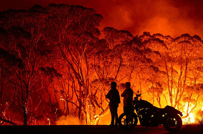 Bushfires 