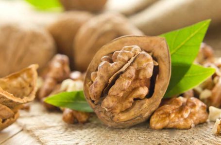 HOW WALNUTS HELP IN THE FIGHT AGAINST COVID