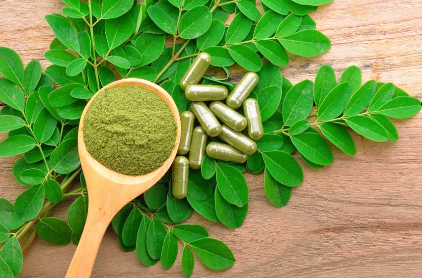  The Benefits, Dosage and Side Effects of Moringa