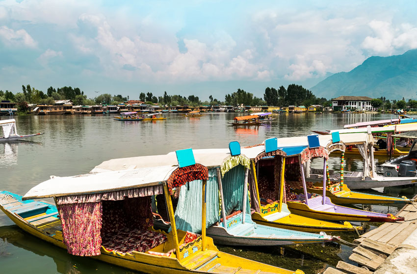  Kashmir’s growing pangs – How Dal Lake is being polluted with sewage and weeds