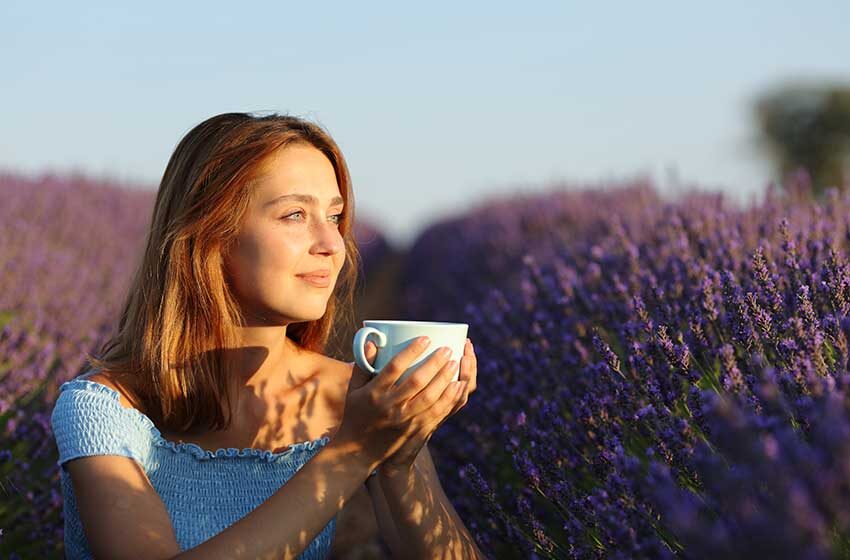  Benefits of drinking Lavender milk tea