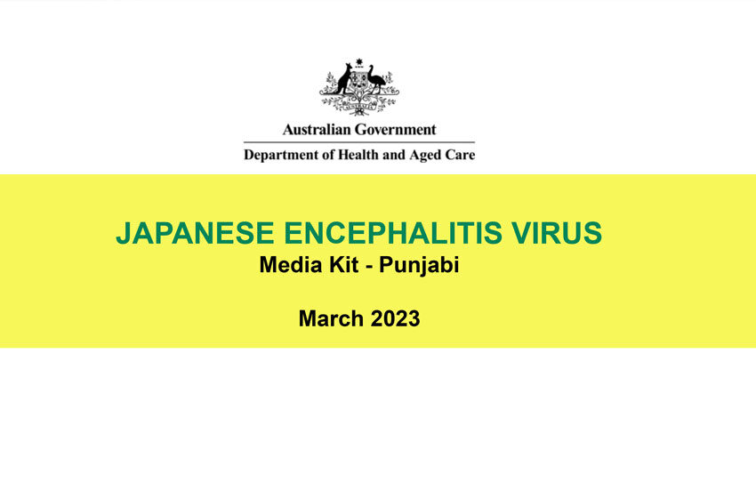  Japanese Encephalitis Virus