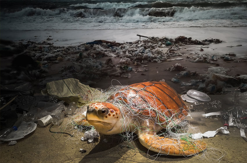  Can we ever stop using plastic?