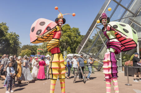 March Long Weekend: Ballarat Begonia Festival Highlights